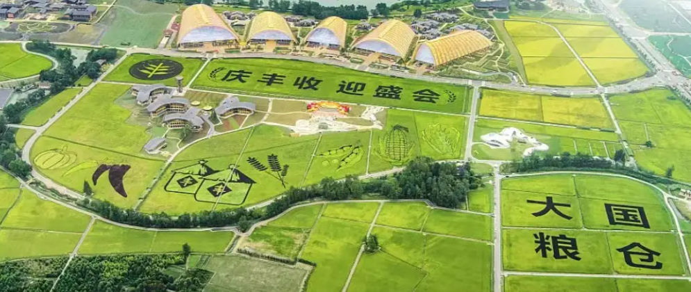 第五个中国农民丰收节|Bsports.必一（中国）体育携农产品品质成分低场核磁快速分析仪 亮相天府农博园